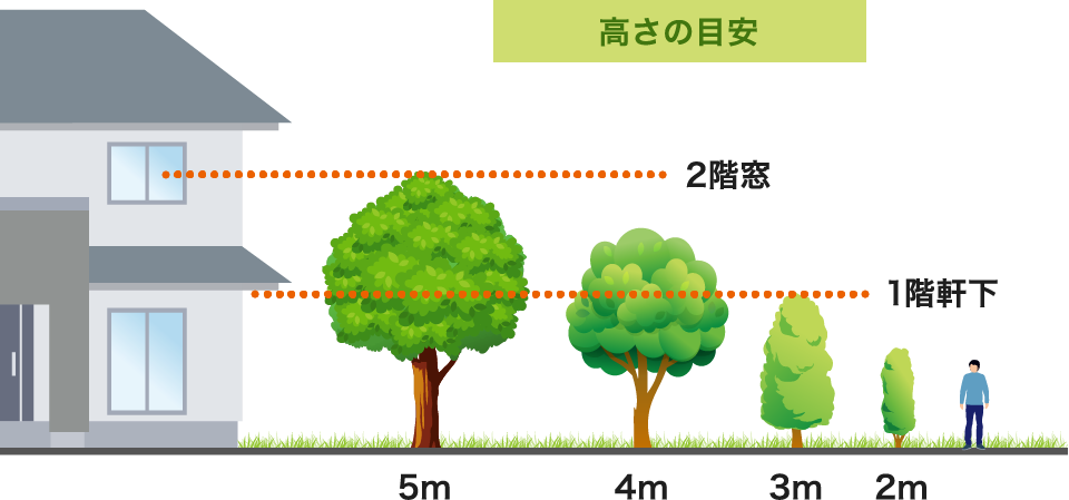 高さの目安