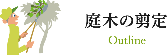 庭木の剪定 Outline