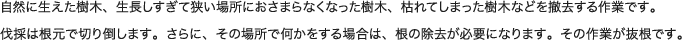 自然に生えた樹木、生長しすぎて狭い場所におさまらなくなった樹木、枯れてしまった樹木などを撤去する作業です。伐採は根元で切り倒します。さらに、その場所で何かをする場合は、根の除去が必要になります。その作業が抜根です。