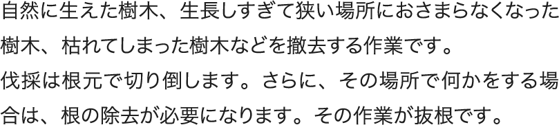 自然に生えた樹木、生長しすぎて狭い場所におさまらなくなった樹木、枯れてしまった樹木などを撤去する作業です。伐採は根元で切り倒します。さらに、その場所で何かをする場合は、根の除去が必要になります。その作業が抜根です。