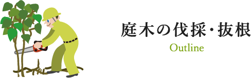庭木の伐採・伐根 Outline