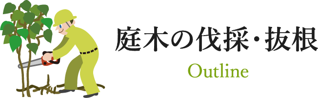 庭木の伐採・伐根 Outline