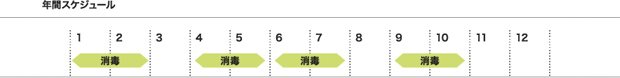 年間スケジュール