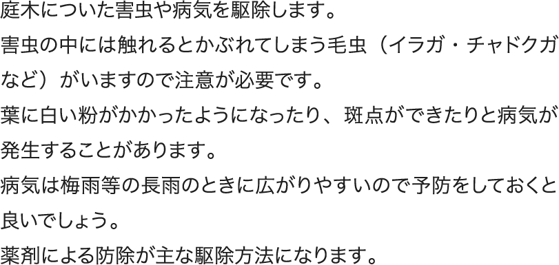 庭木についた害虫や病気を駆除します。害虫の中には触れるとかぶれてしまう毛虫（イラガ・チャドクガなど）がいますので注意が必要です。葉に白い粉がかかったようになったり、斑点ができたりと病気が発生することがあります。病気は梅雨等の長雨のときに広がりやすいので予防をしておくと良いでしょう。薬剤による防除が主な駆除方法になります。