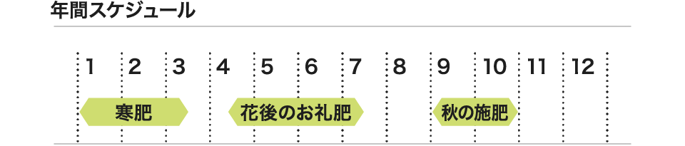 年間スケジュール 寒肥 花後のお礼肥 秋の施肥