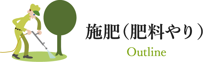施肥(肥料やり) Outline
